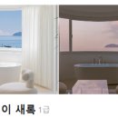 스테이 새록 이미지