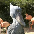 찬이농장 Daum카페