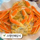 속초중앙시장 먹거리 국내유일 대게무한리필 맛집 크랩인해담지