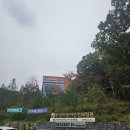 반딧불이어린이집 | 분당 아이랑 갈만한곳, 분당어린이안전체험관 곤충나라 방문후기(+ 주차, 전시내용)