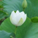 안압지농장 이미지