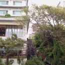 ADELA(아델라) 이미지