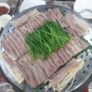 한올채