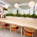 딱이야 오피스 이미지