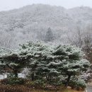 대성철물 이미지