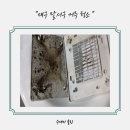 두류공원로 | 대구 달서구 두류공원로 거주청소