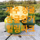 감귤향기힐링파크 이미지