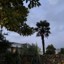 스테이 캄캄 이미지