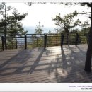 레드페이스수원