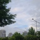 남신경정신과 | [부산 정신과 방문 후기] 김쿨기의 정신건강 회복일기1_정신과 첫방문