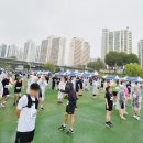 해마루 | 중소기업 기 살리기 마라톤 대회 후기 (양천 해마루 축구장)