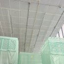 의식주프로젝트 | #국립현대미술관서도호 전시