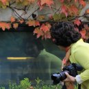 일성농장 이미지