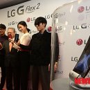 플렉스 뉴시스