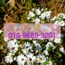 송선로4길-2 이미지