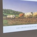 어제의 그림 오늘의 인문학 이미지