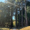 법기수원지 | 양산 산책로 법기수원지 근처 밥집후기까지!