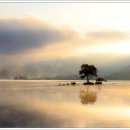 호수의아침 이미지