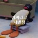 조이킨더미술학원