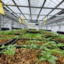 노곡리농장 이미지