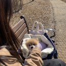 연희자연마당 공원 이미지