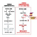 피비에프