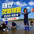 골드하우스 펜션 | 태안 갯벌체험 태안 골드하우스펜션 진산이 어촌계 갯벌체험장