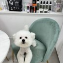 개발소 이미지