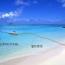 백사장 이미지
