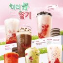 봄을 담은 딸기