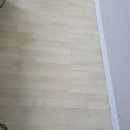 생활속의 주역 | 우리 집 인테리어의 숨은 주역, 쾌적한 생활 공간을 위한 완벽한 케어 경험을 공유해요