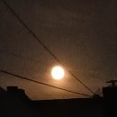 [울산 시민신문] 달그릇/ 이경순 이미지