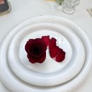송이공방 | 진주 부케 말리기 선물 공방 싱그렌) 역조공 장미 한 송이 후기