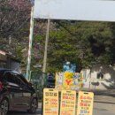 실미해수욕장-해변 | [인천/영종도] 서해의 낭만 가득! 실미도 유원지 노지 캠핑 &amp; 해변 차박 후기 🌊🏕️