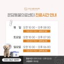 온담동물의료센터 이미지