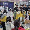 ‘그라운드에 등장한 강아지 11마리’ 충남아산 홈 경기, 개판(?) 된 사연 이미지