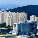 영 행정사사무소 이미지