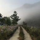 크로바펜션 이미지
