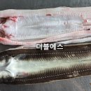 유한회사더블에스