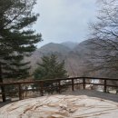 개암벌 용소 관광농원 캠핑장 이미지