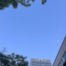 [숙소 추천] 대전 인터시티 호텔 스탠다드 더블룸 1박 2일 후기