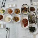 선일회박사