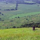 평화로길 이미지