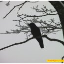 선녀와나무꾼 - 경주시 동남로 496-11 | 선녀와나무꾼