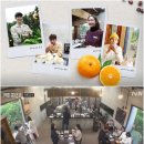 Y기획
