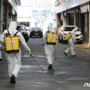 대구능금시장 이미지