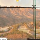 델피노 I 이미지