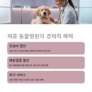 부자동물병원 이미지