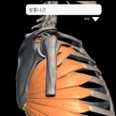 올인원피티앤테라피 이미지