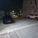 도싯골모현점 이미지